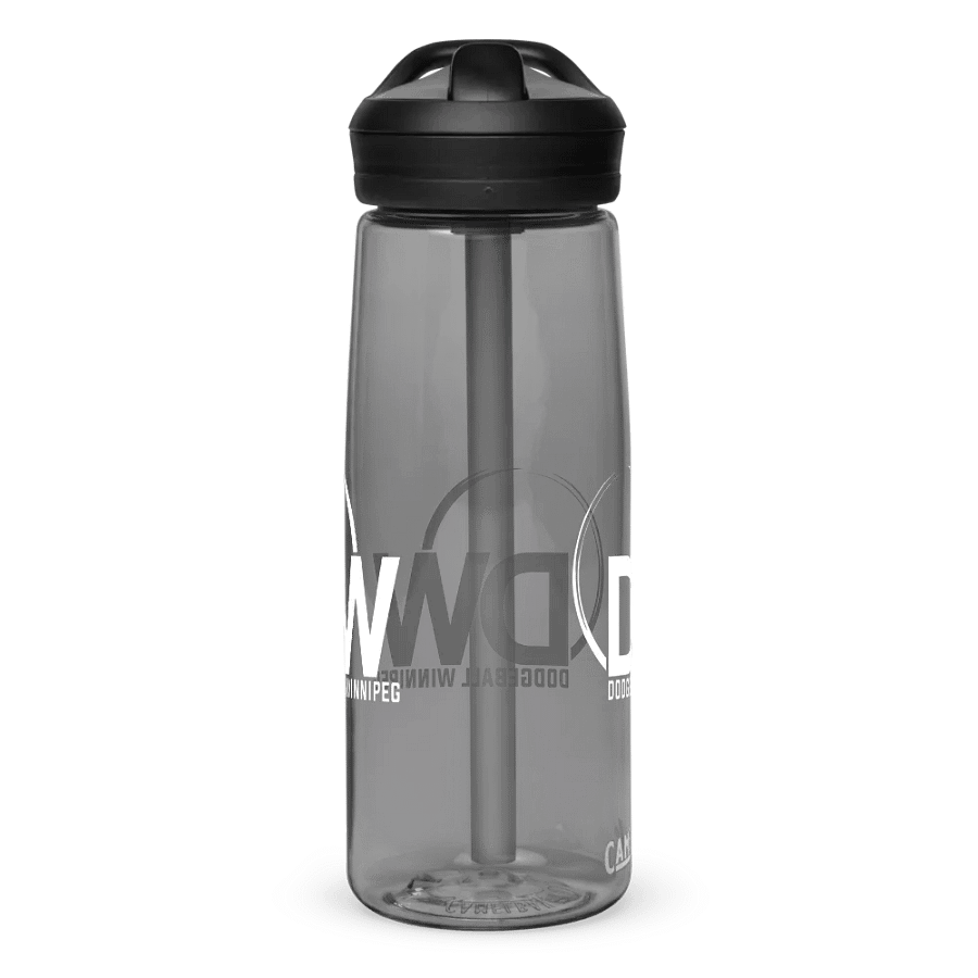 Dodgeball Winnipeg Water Bottle product image (2)