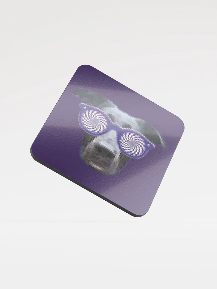 XraySnerb Coaster product image (1)