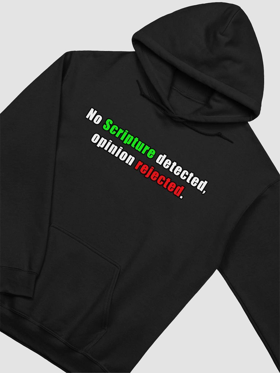 No Scripture Detected Hoodie product image (6)