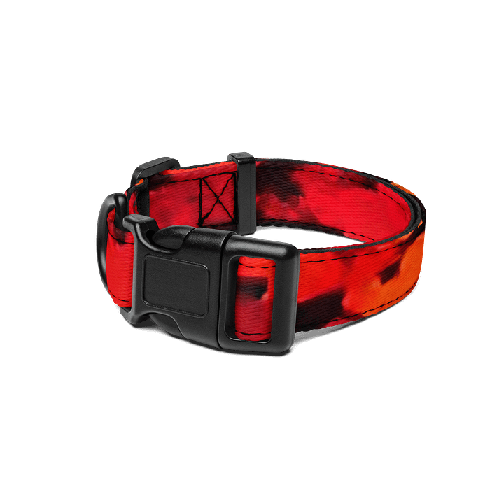 Blaze Pet Collar product image (1)