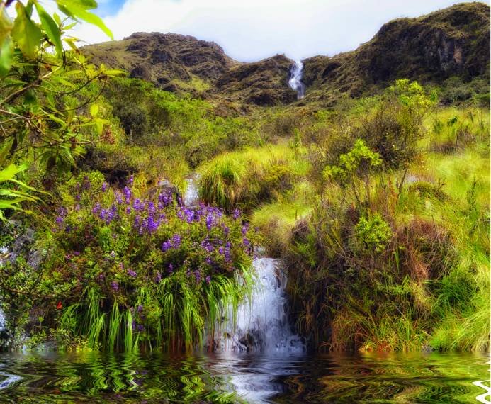 Waterfall with pond and flowers product image (1)