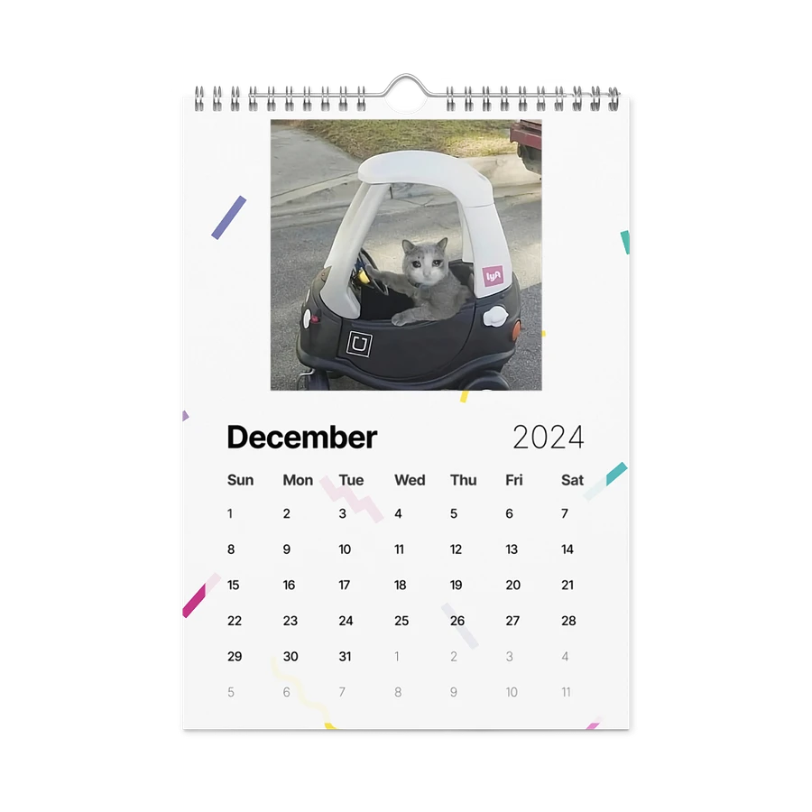 Wall Calendar (2024): Meme Cats product image (6)