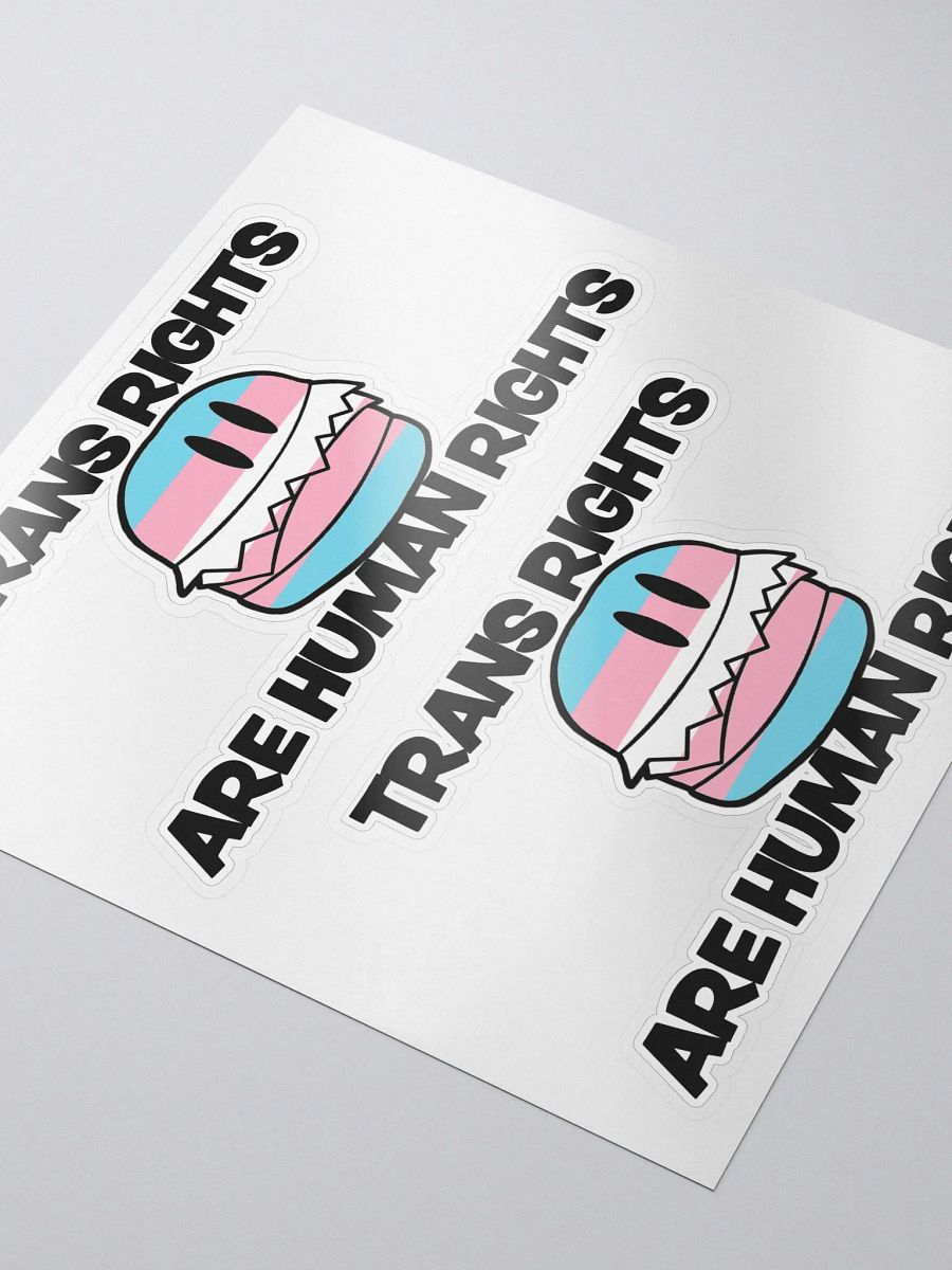 Trans Rights Stickers (2-pack) product image (3)