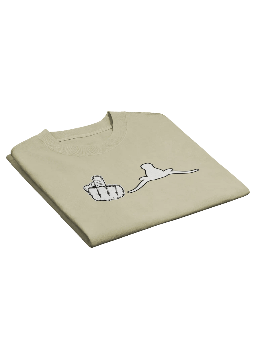 'F^$# Texas' Faded Tee product image (4)