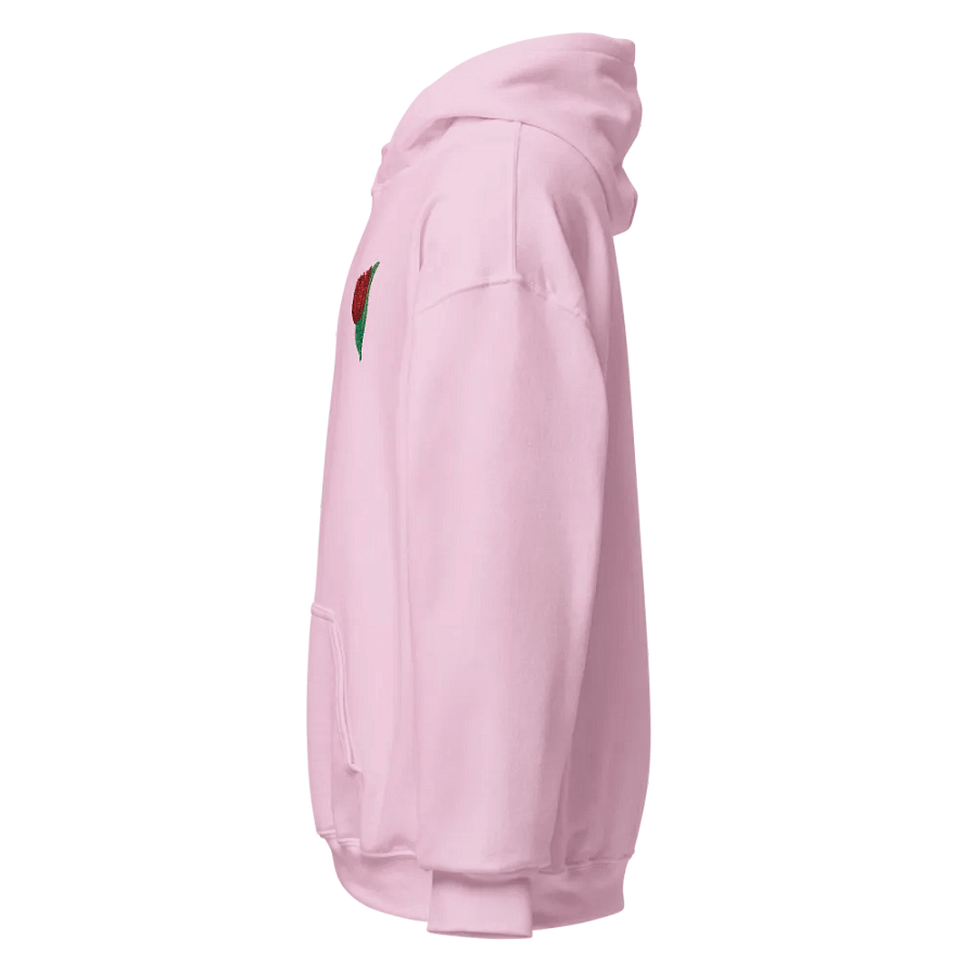 Frances's Tulip Embroidered Hoodie product image (30)