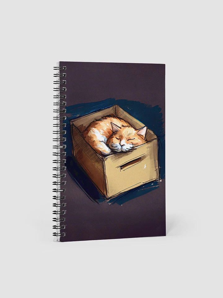 Kitty In A Box - Ginger Cat Spiral Notebook product image (1)