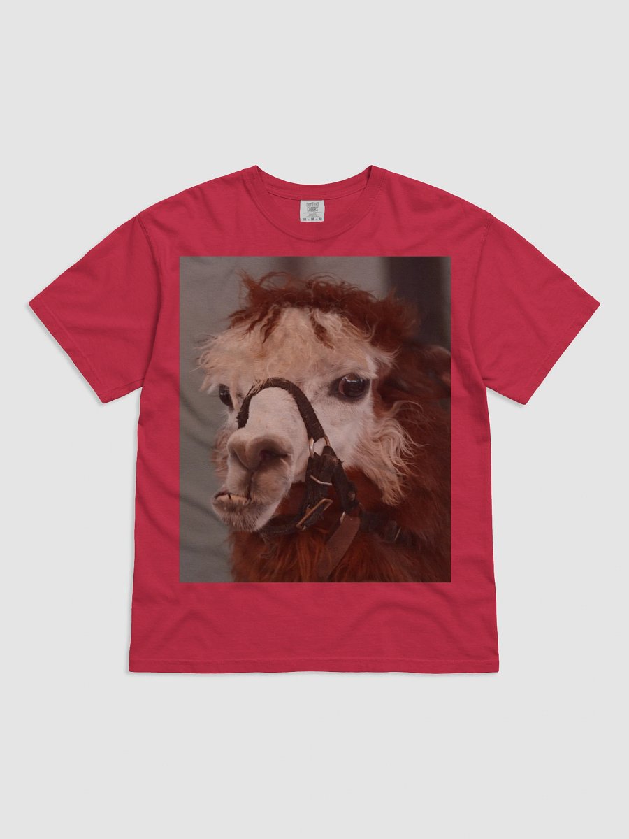 Llama Love Comfort Tee product image (1)