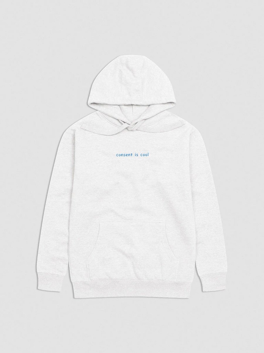 Consent is Cool Embroidered Hoodie product image (1)