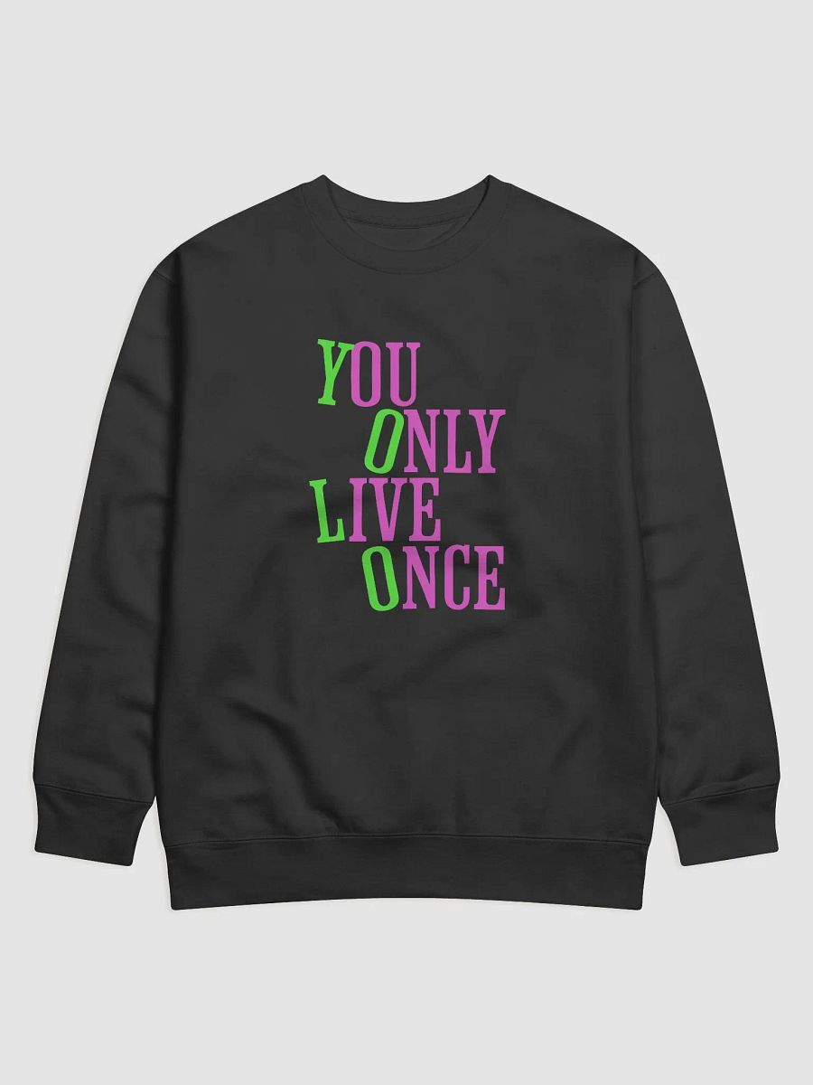 YOLO Gradient Sweatshirt product image (5)