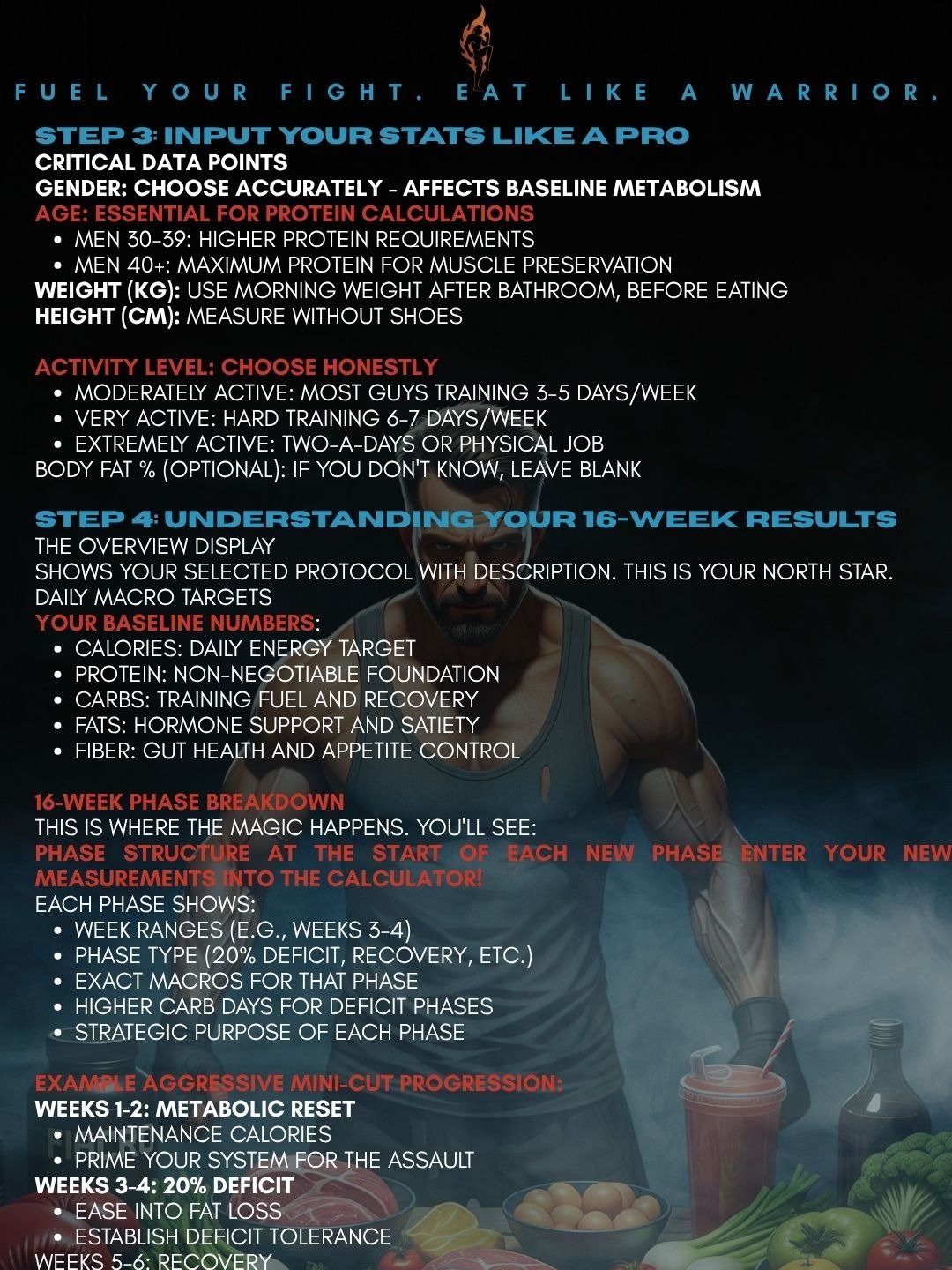 FitFight Fusion 16-Week Protocol Calculator product image (4)