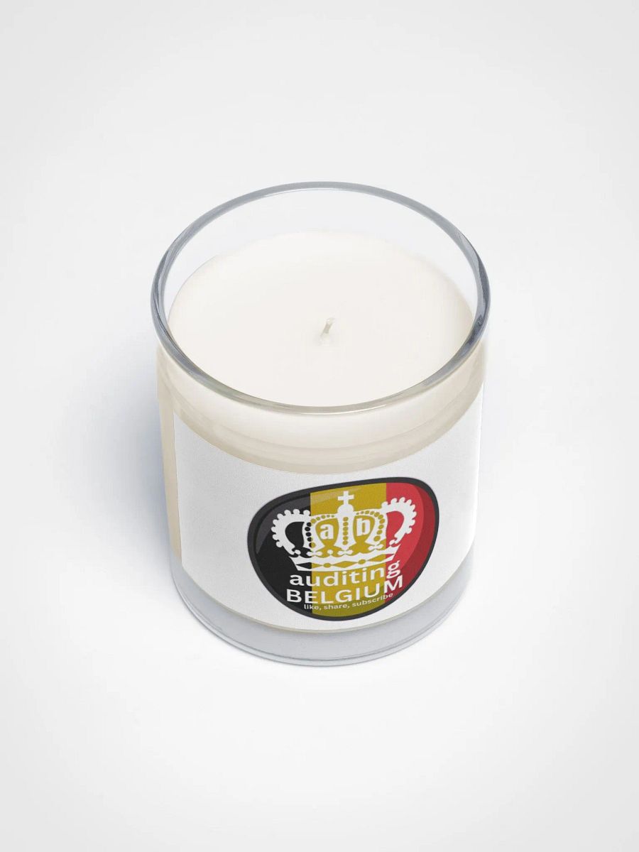 AUDITING BELGIUM product image (3)