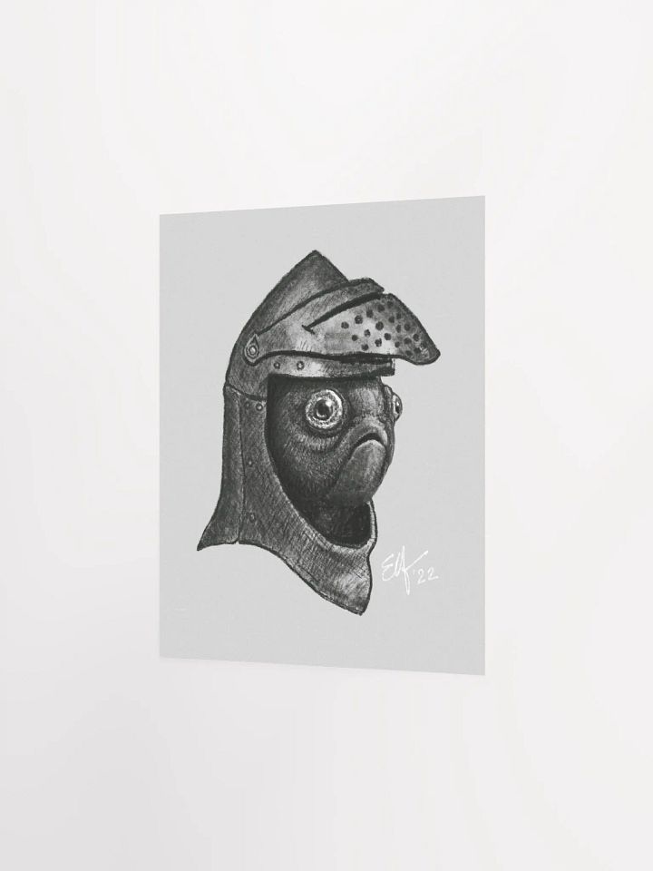 Fish Knight product image (2)