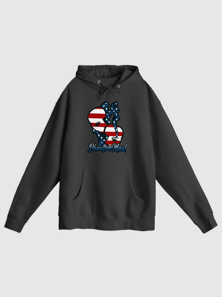 USA Flag Logo Premium Hoodie product image (1)