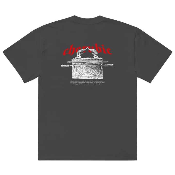 Cherubim Oversized Tee product image (1)