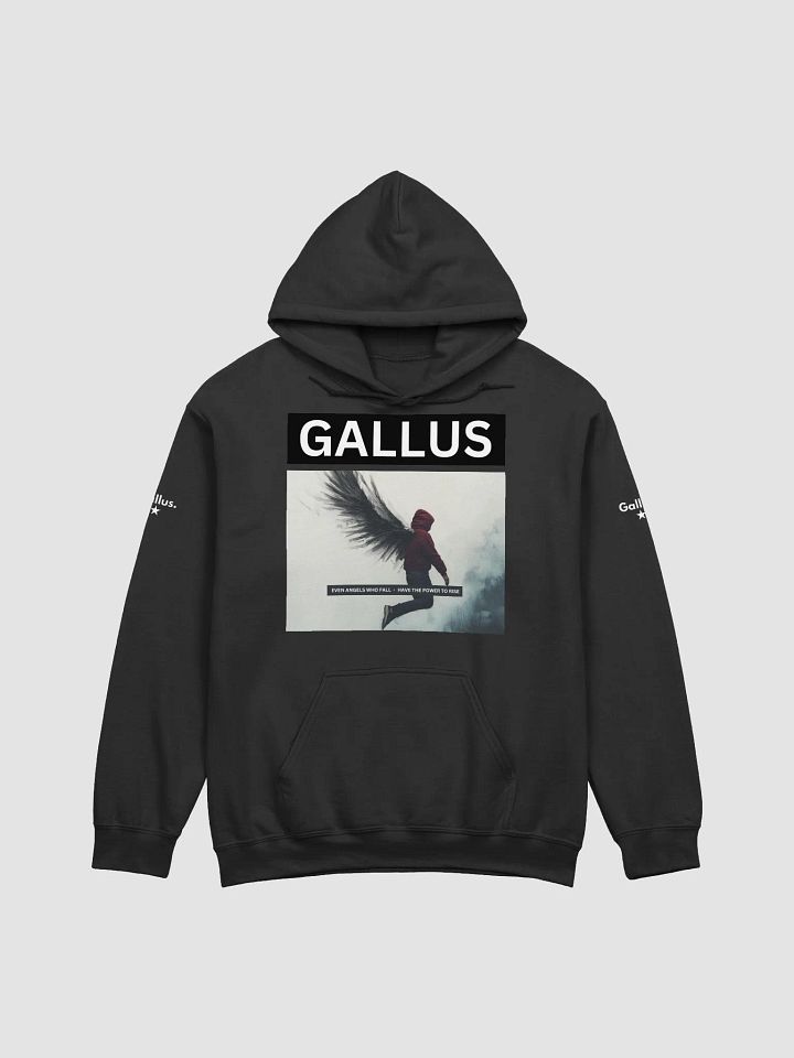 Gallus Hoodies product image (1)