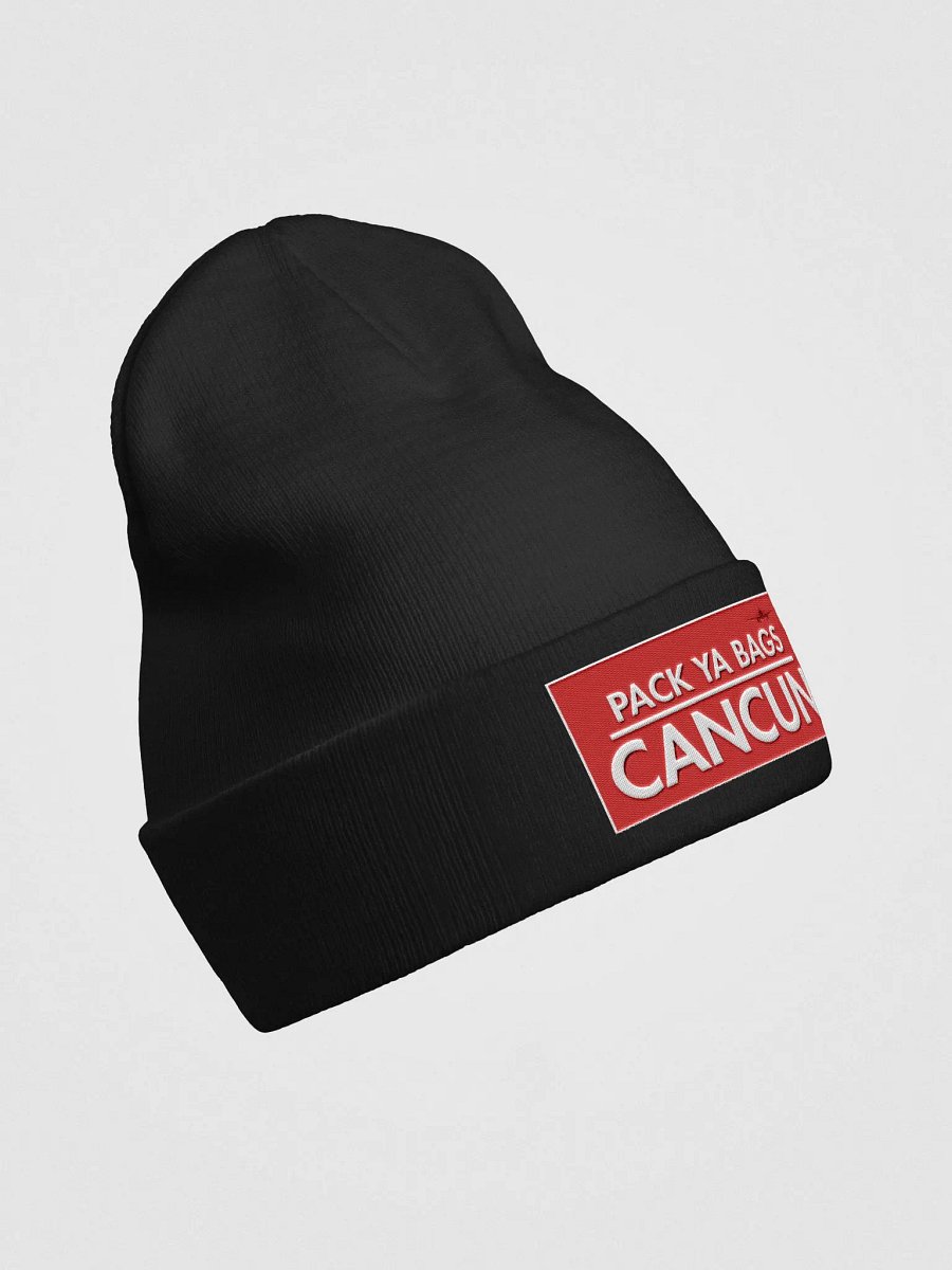 Copy of Otto Knit Beanie - PACK YA BAGS product image (3)