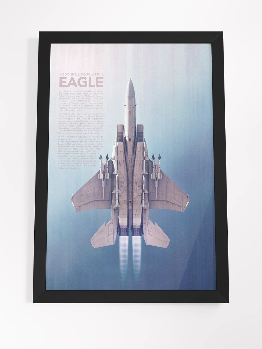 F-15 Eagle Framed Artwork product image (4)