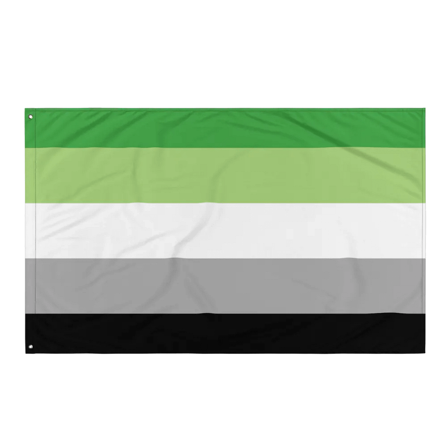Aromantic Flag product image (3)