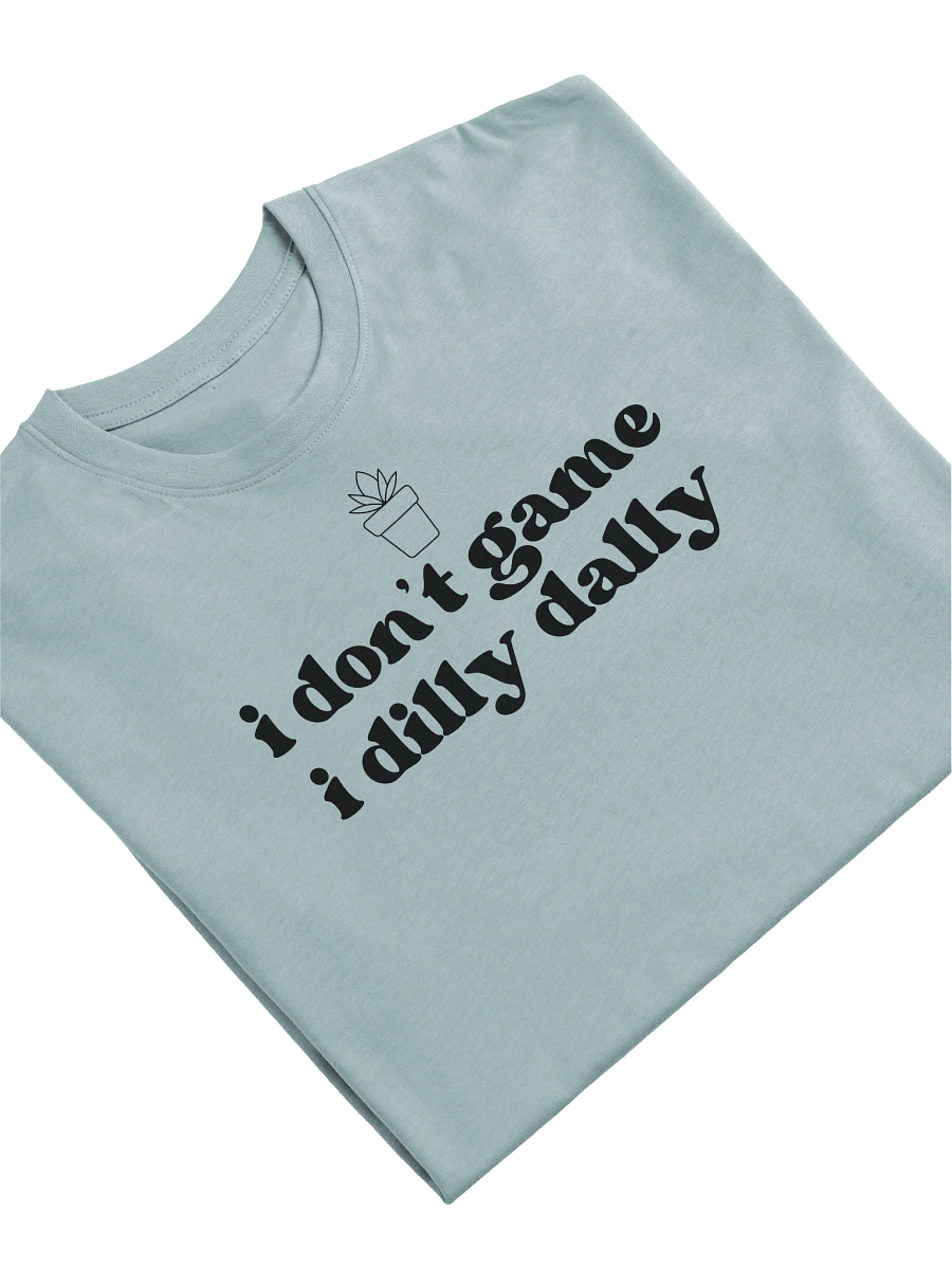 Dilly Dally Heavyweight T-Shirt product image (18)