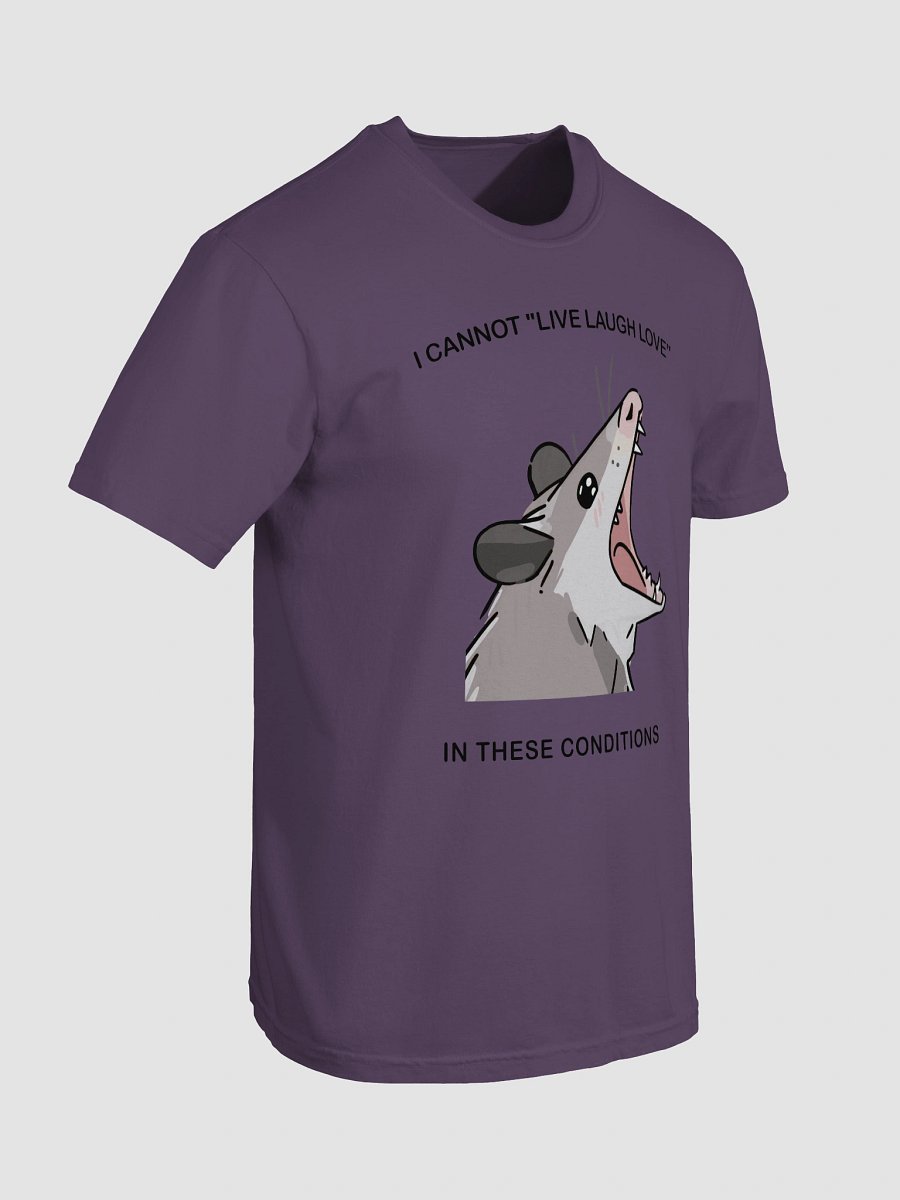 Opossum "I Cannot Live Laugh Love In These Conditions" Funny T-Shirt - Unique Animal Meme Tee product image (78)