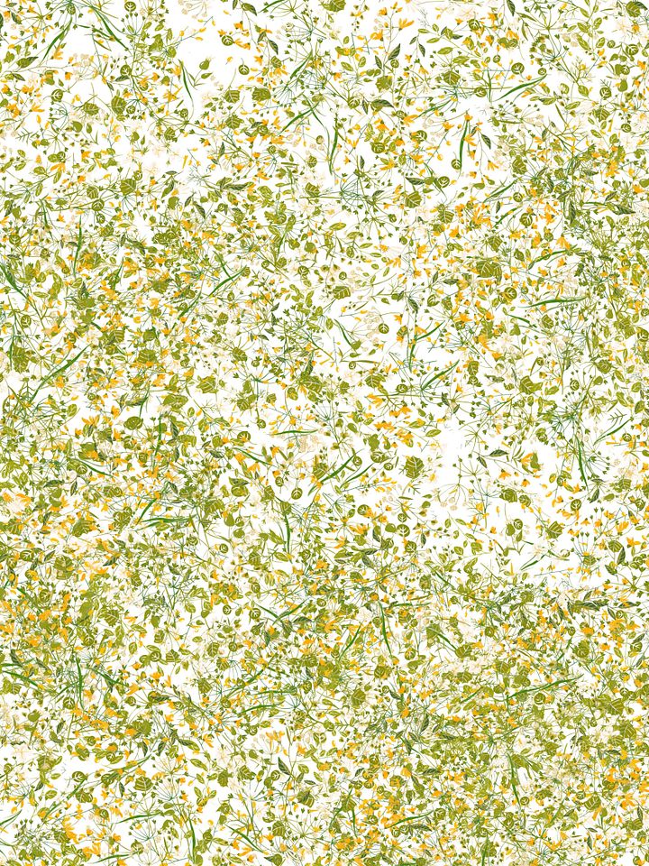 floral_29 product image (1)