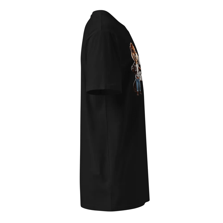 Not Too Shabby product image (4)