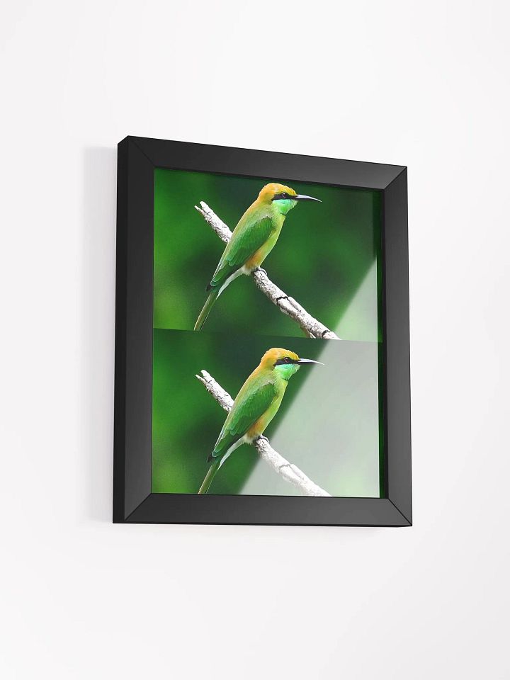 Framed High-Quality Matte BIrds Poster product image (4)