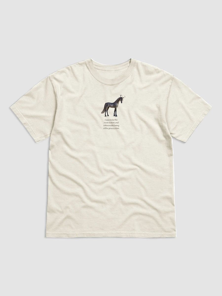 'I have to be the most esoteric being...' T Shirt (design on front) product image (21)