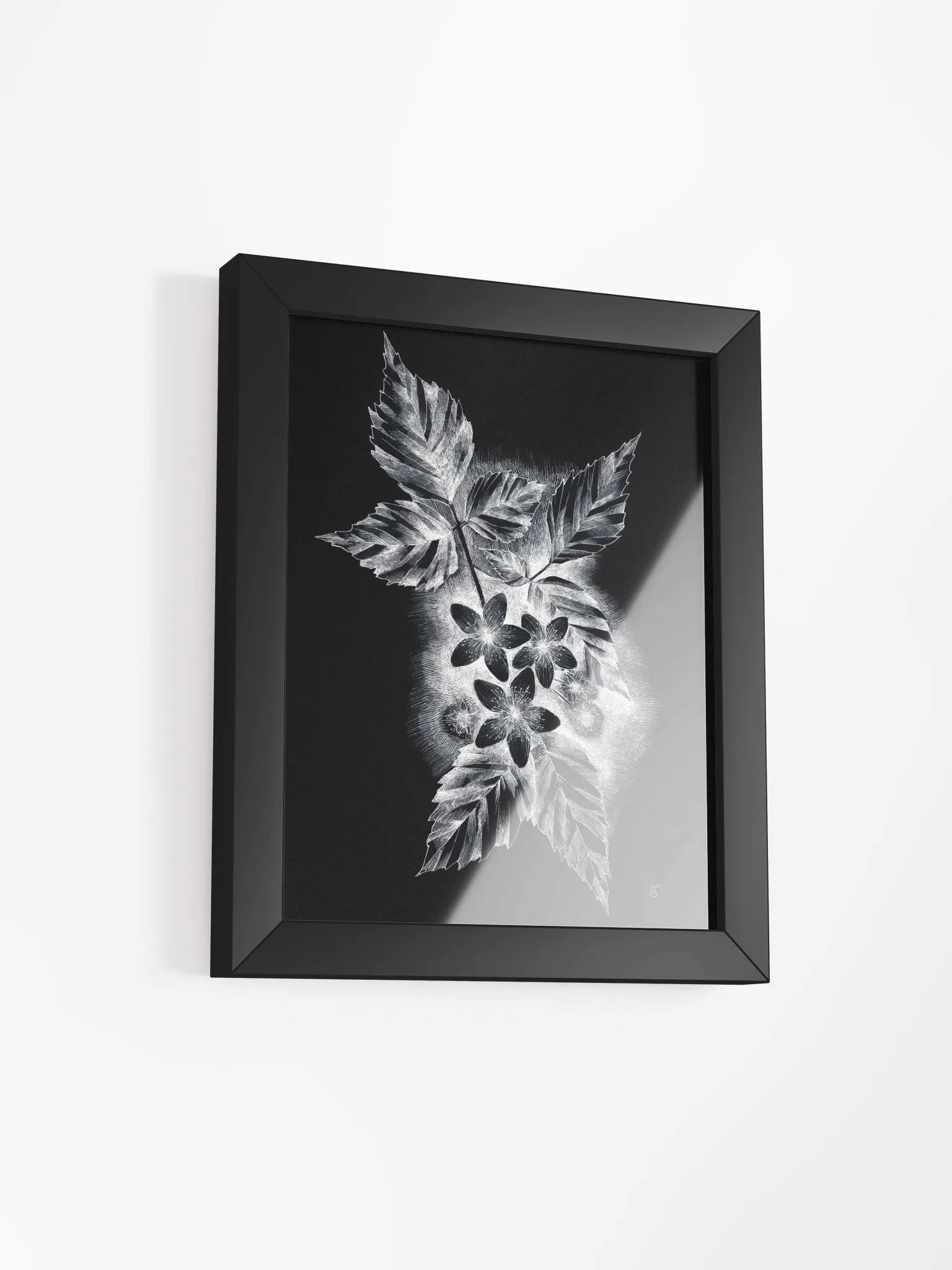 Monochrome Nature Beauty Framed Poster - Dark Jasmine product image (12)