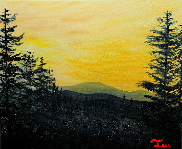 The Evenings Silhouette (Original) 16x20 Canvas product image (1)