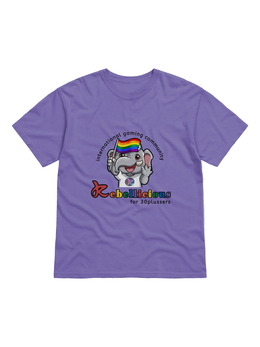 Comfort Colors Pride T-shirt product image (5)