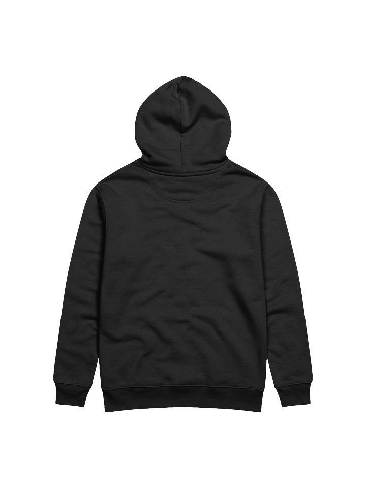 Divine Reign Eco Hoodie product image (2)