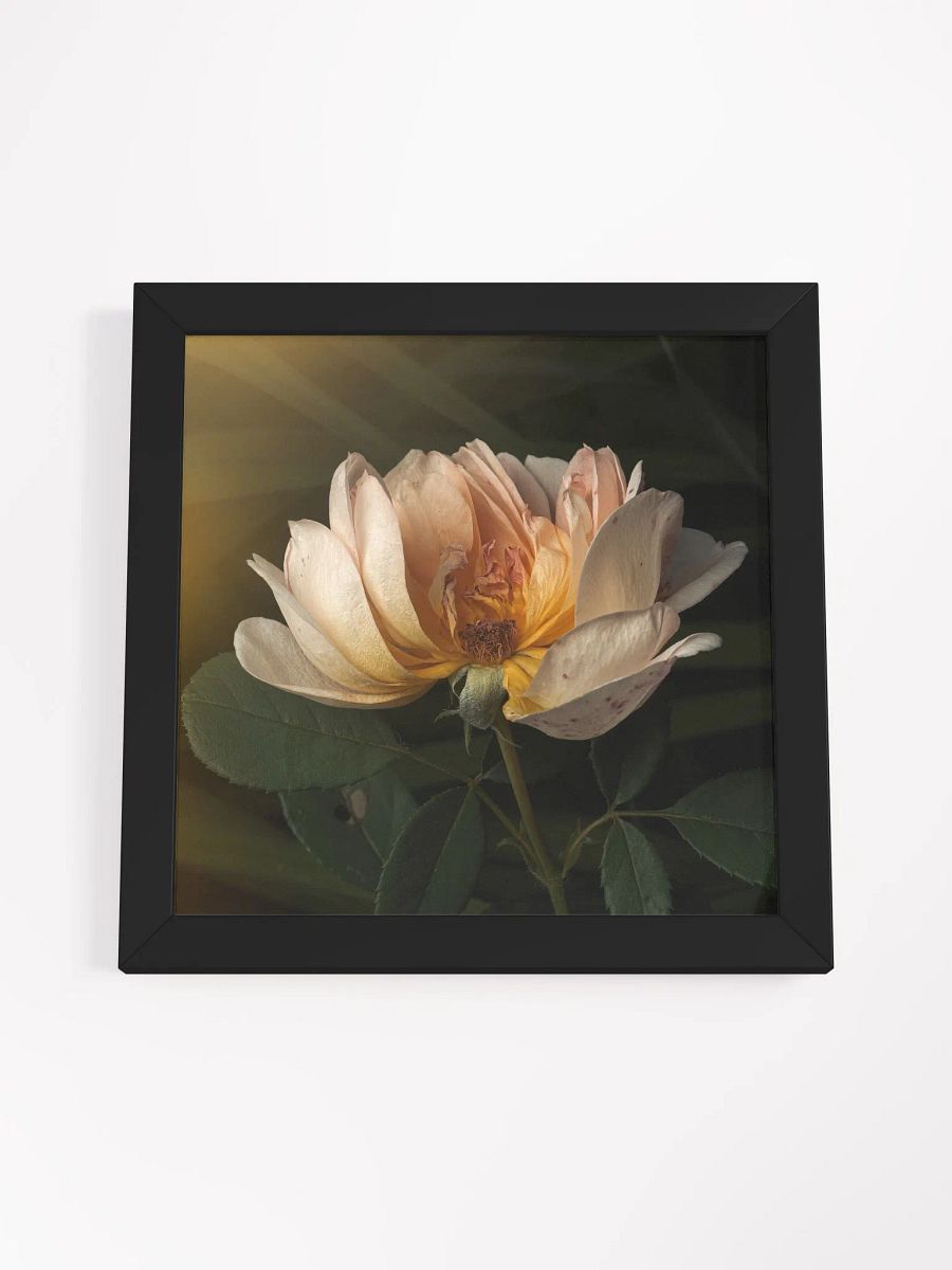Half the Rose product image (4)