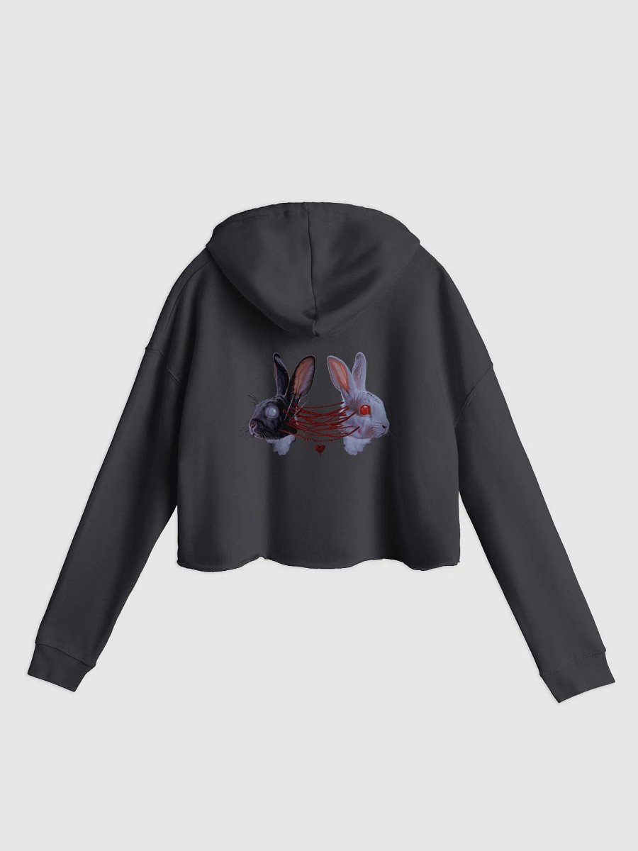 Bound Cropped Hoodie product image (1)