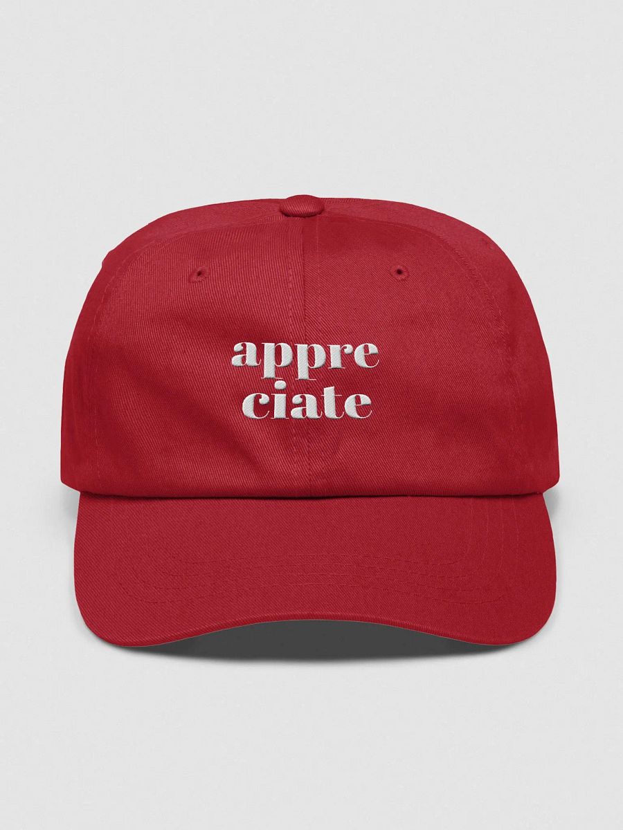Classic Dad Hat product image (1)