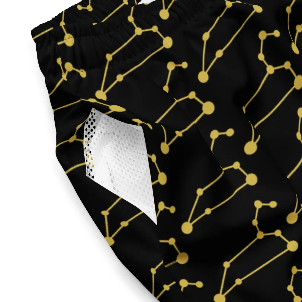 Celestial Leo Connection Swim Trunks product image (4)