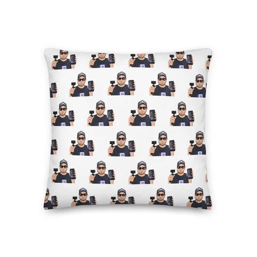 pillow product image (2)