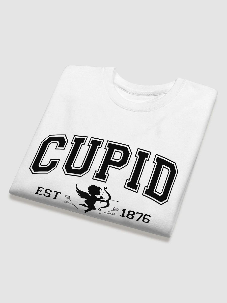 Cupid University SweatShirt product image (16)