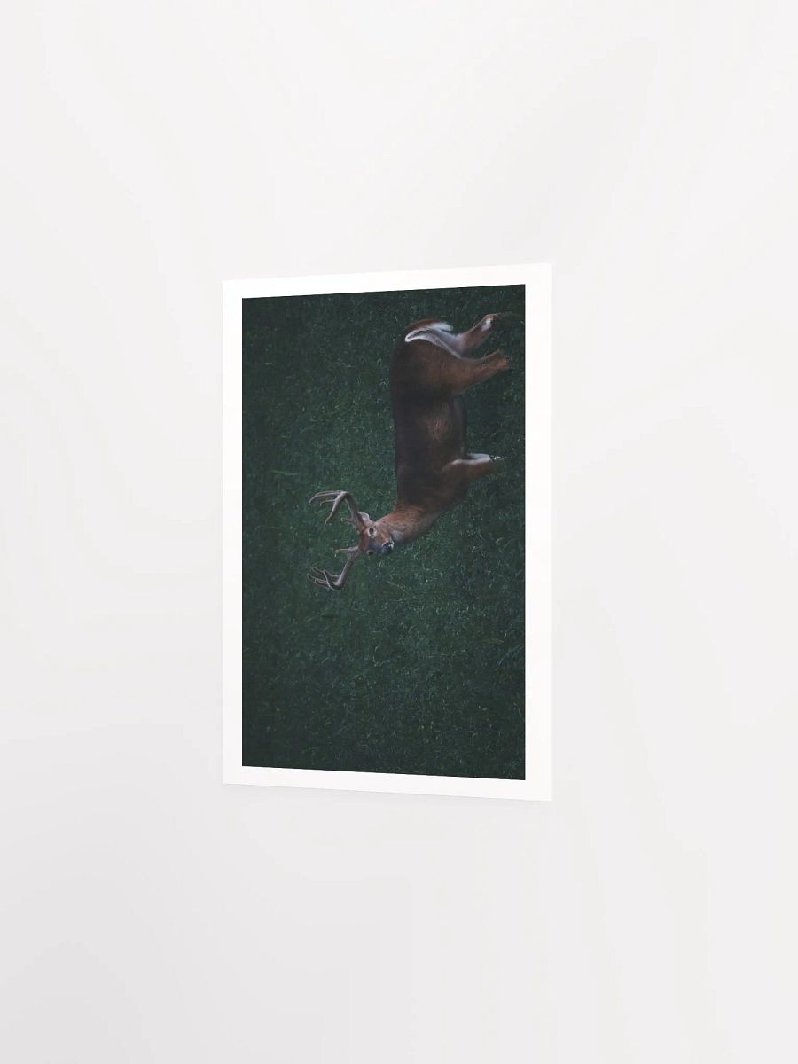 Majestic Antlered Deer Matte Poster product image (9)