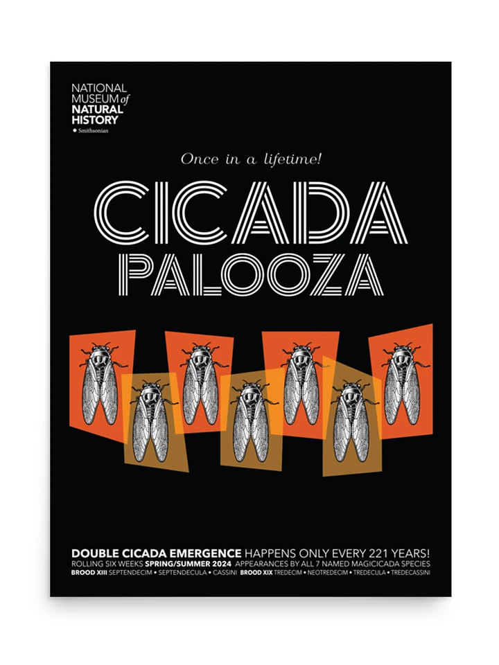 Cicada Palooza Poster product image (2)