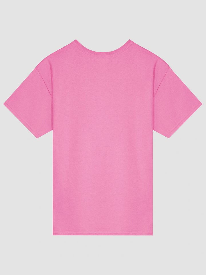"Law & Order Must Prevail" Essential Truth Tee - Blue Ink product image (2)