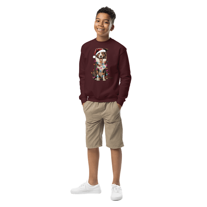 Funny Border Collie(Brown) Youth Christmas Sweatshirt for Border Collie Paw-rents product image (1)