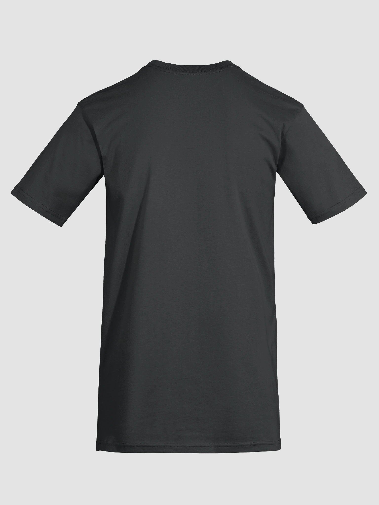 Rome Reborn v2 Heavy Tee product image (16)