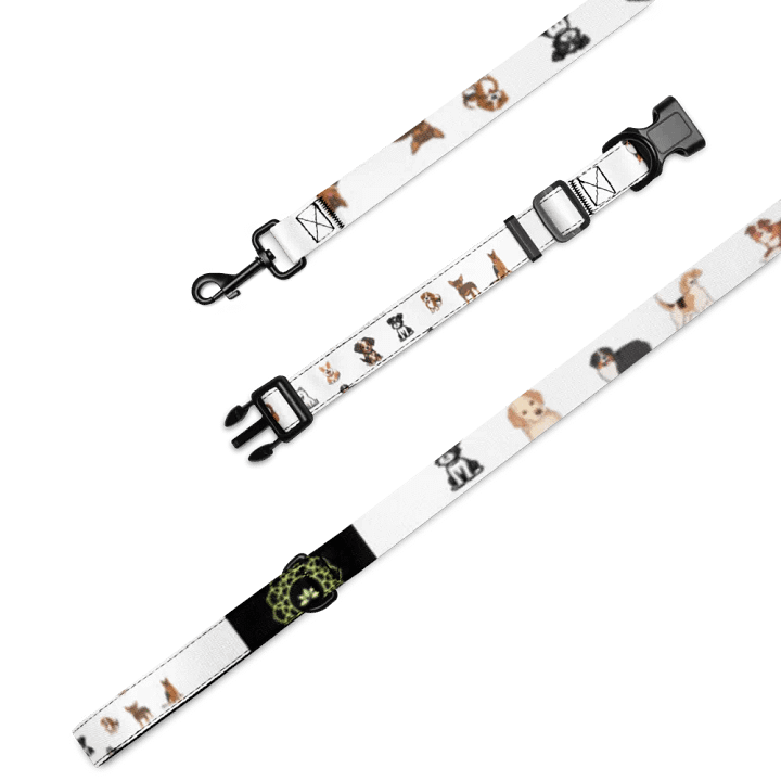 Iconic Pet Collar & Leash Set product image (1)