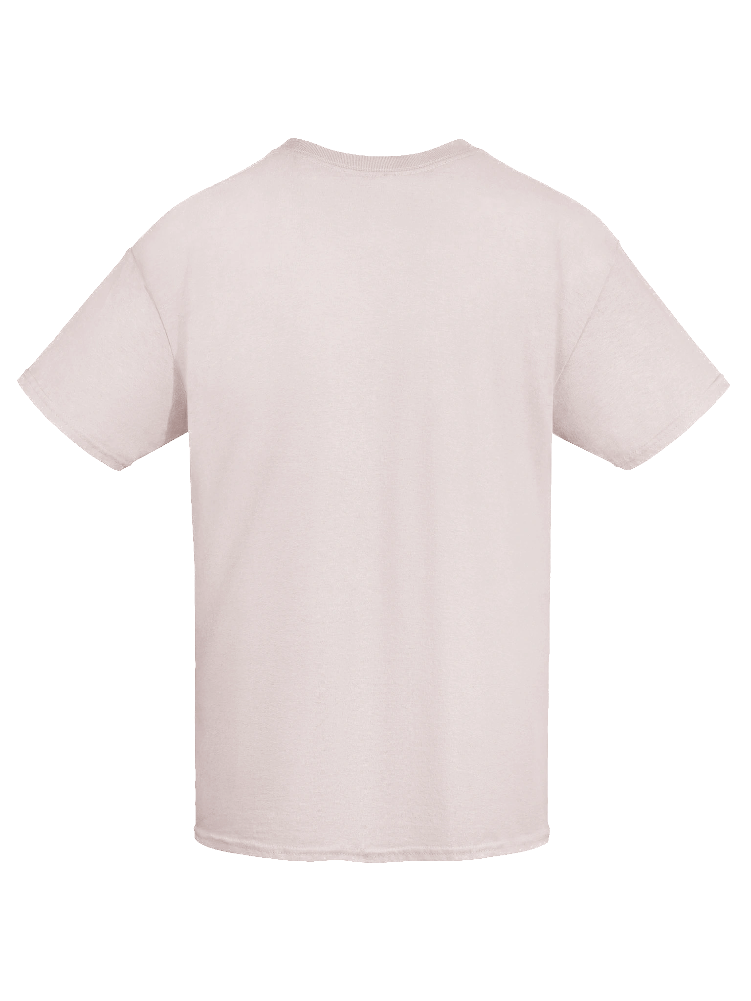 Plucky Plecs T-Shirt product image (9)