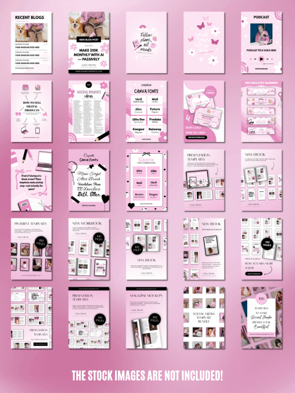 MRR/PLR Pinterest Templates for Digitals product image (3)