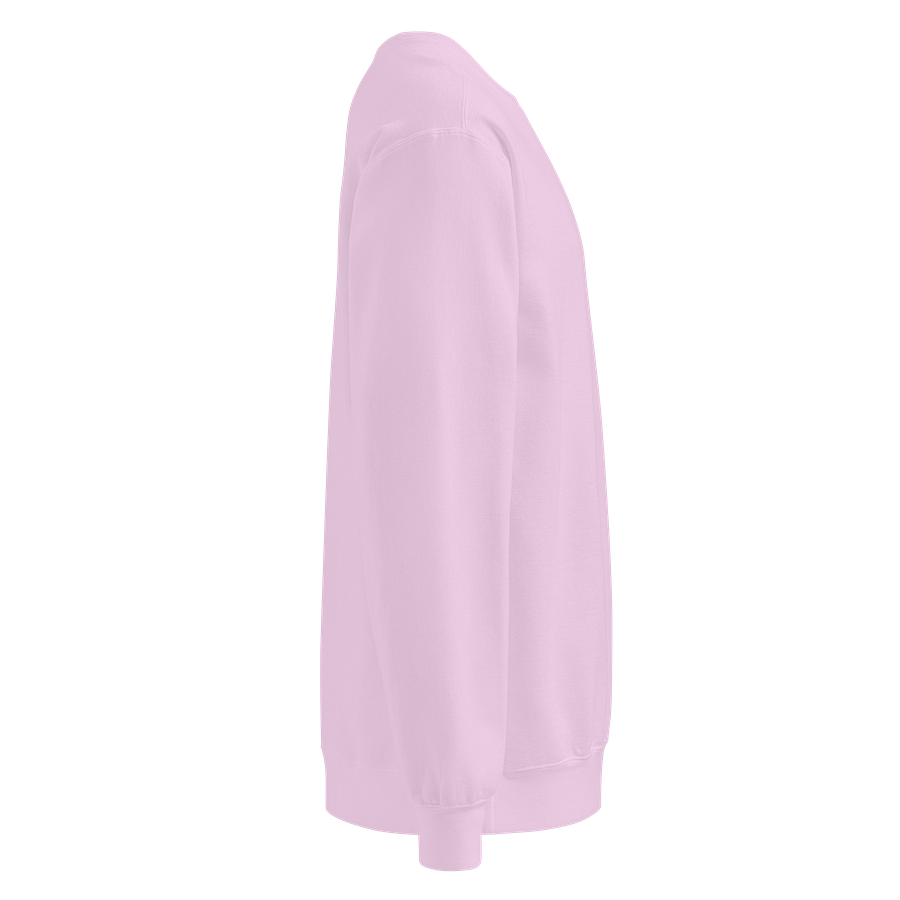 Swiftletgaming Sweatshirt product image (16)