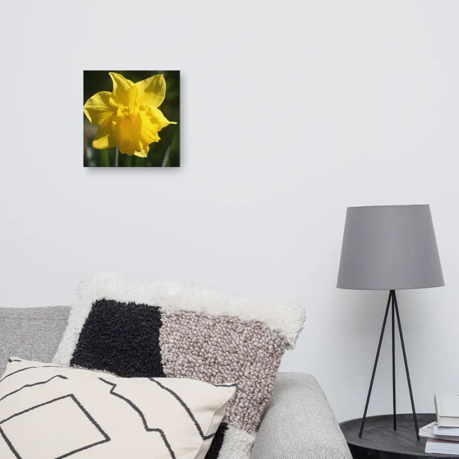 Daffodil product image (10)