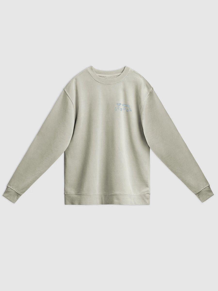 *not* mentally linear (sm. lined design, #709AAF) printed pigment crewneck product image (7)