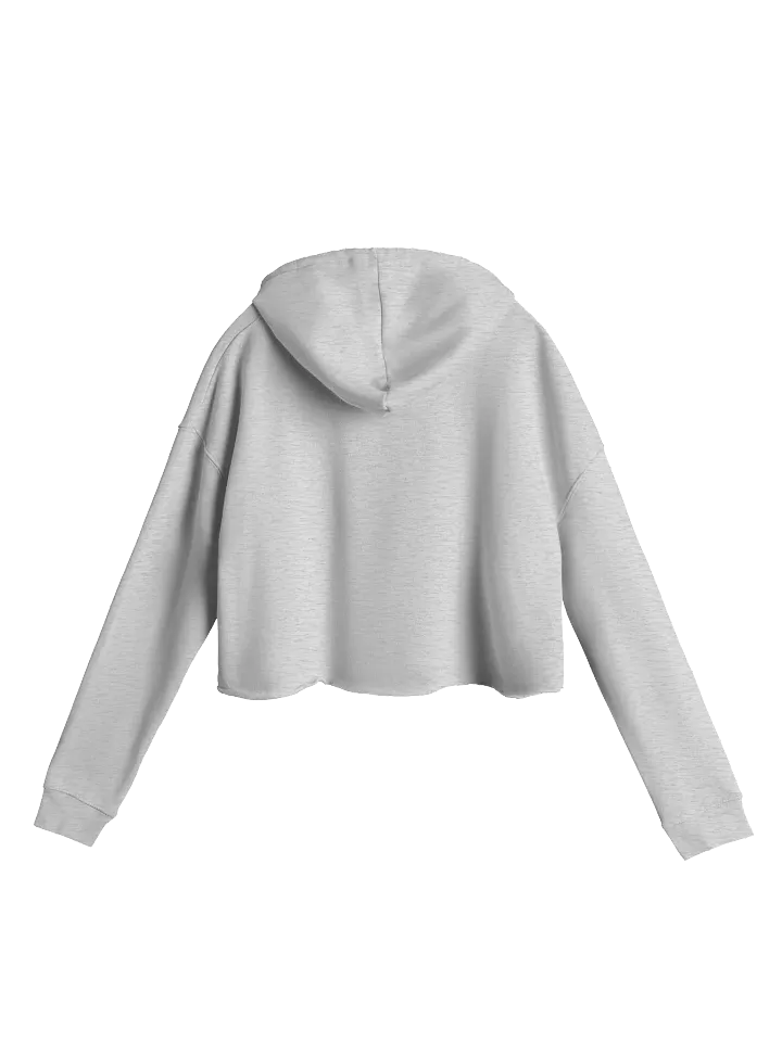 Take That For What You Mean It For PASP Cropped Hoodie🌠 product image (7)